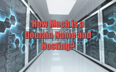 How Much is a Domain Name and Web Hosting?