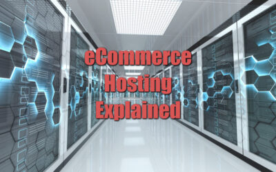 eCommerce Web Hosting Explained: The Good, the Bad, and the (Sometimes) Ugly of Different Hosting Options