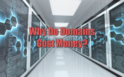 Why Do Domains Cost Money? Demystifying the Domain Dilemna