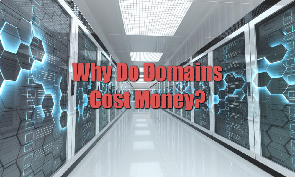 Why do domains cost money featured image